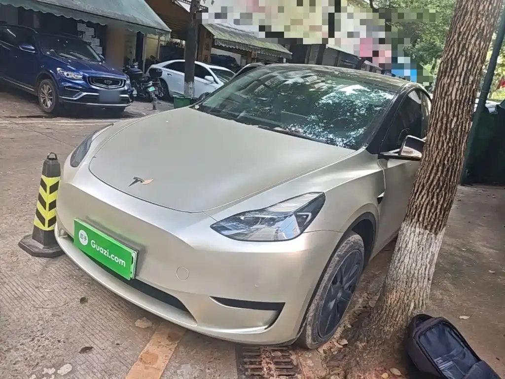 Tesla Model Y — миниатюра 2