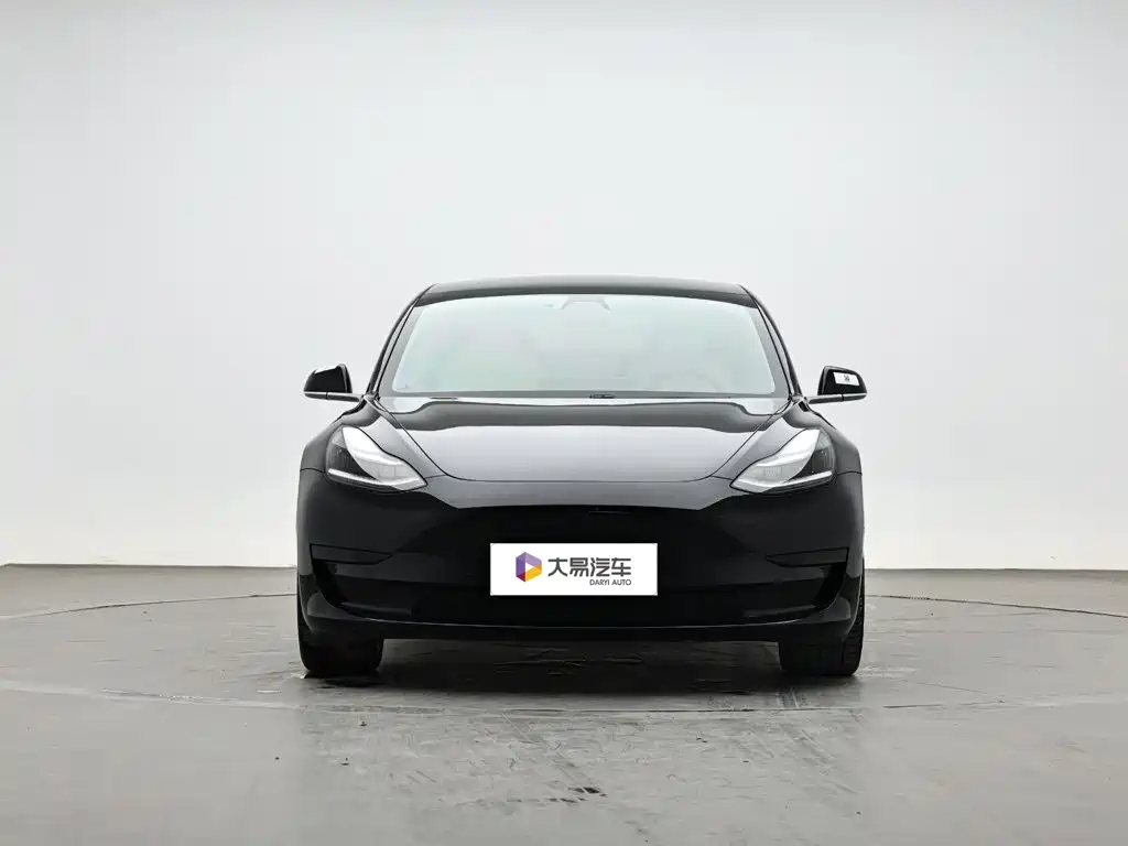 Tesla Model 3 — миниатюра 2
