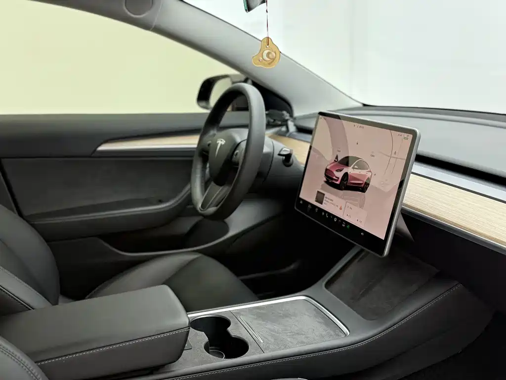 Tesla Model 3 — миниатюра 14