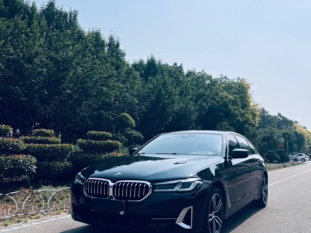 BMW 5 Series 2022