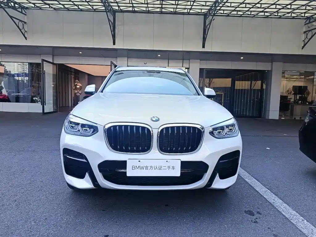 BMW X3 — миниатюра 2