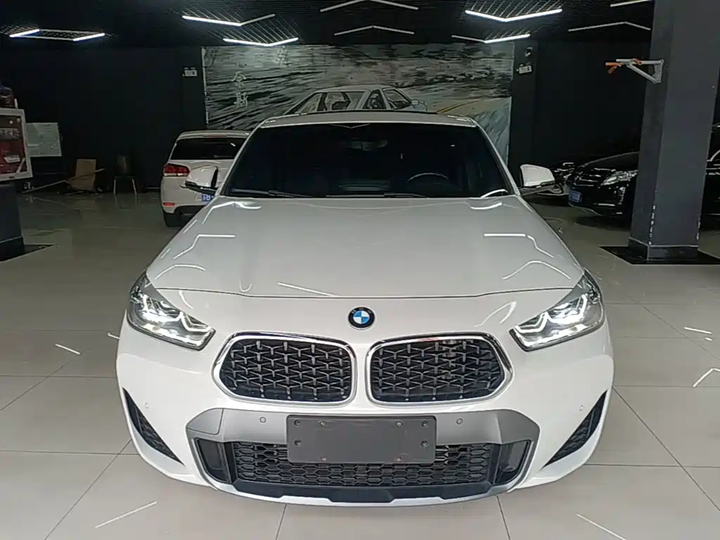 BMW X2 — миниатюра 3