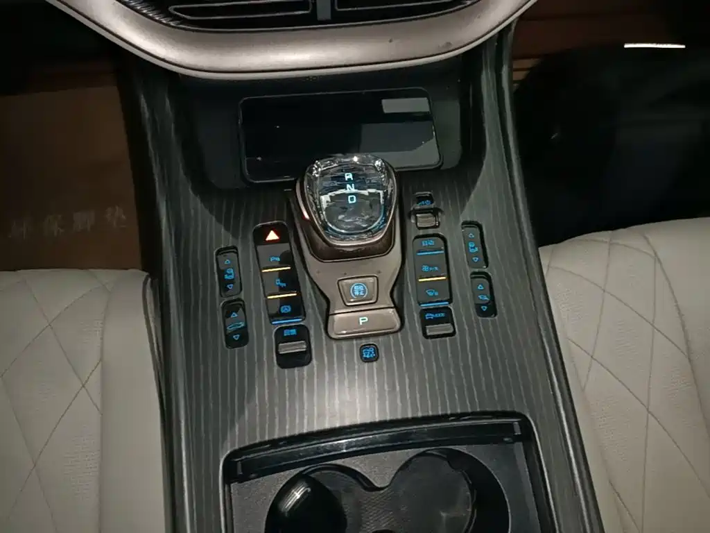 Denza Denza D9 — миниатюра 14