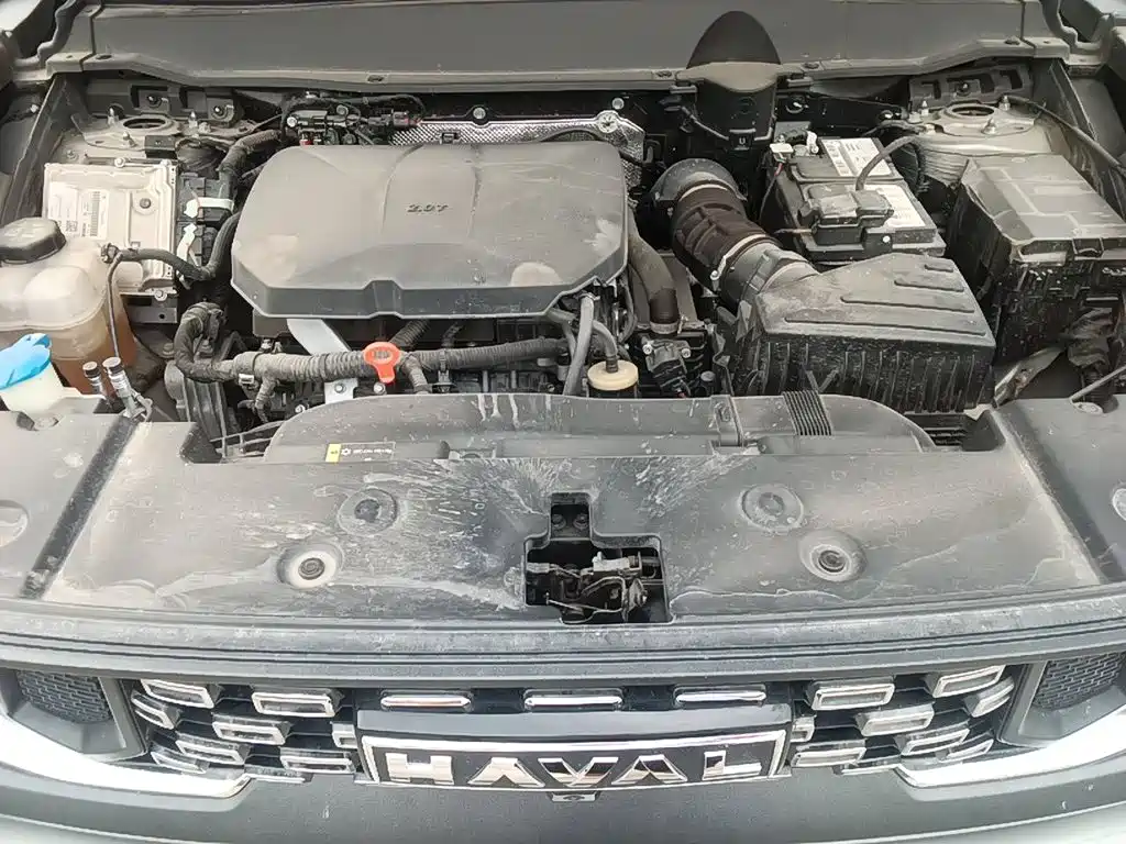 Haval Haval Big Dog PLUS — миниатюра 16