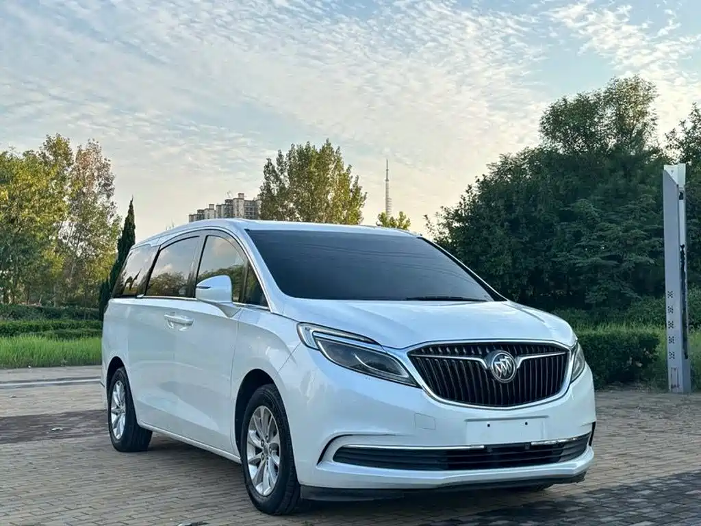 Buick GL8 — миниатюра 3