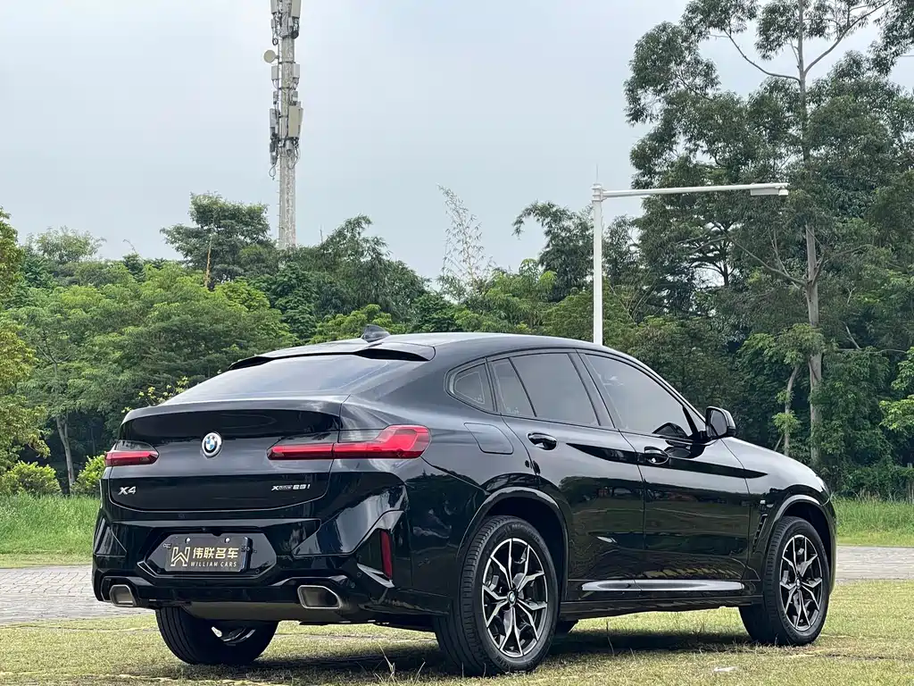 BMW X4 — миниатюра 6
