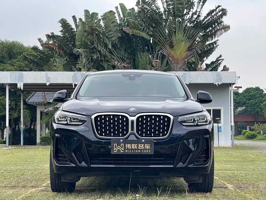 BMW X4 — миниатюра 2
