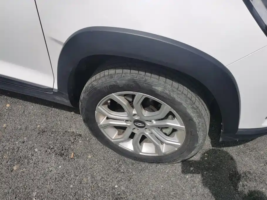 Chery Tiggo 3x — миниатюра 6