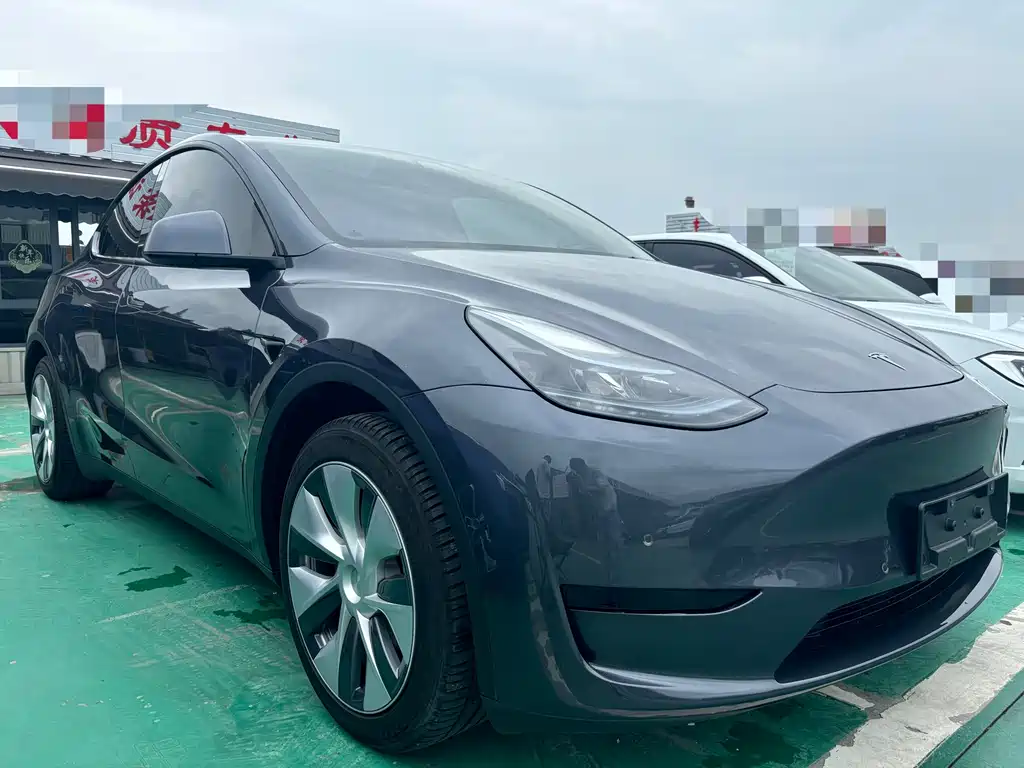 Tesla Model Y — миниатюра 3