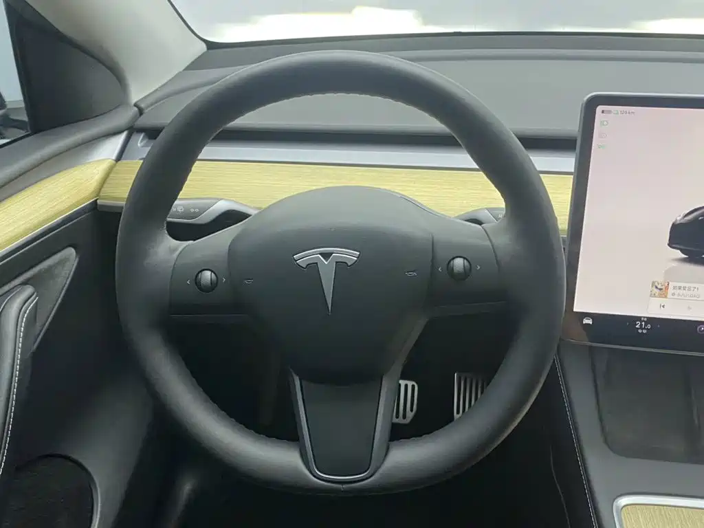 Tesla Model Y — миниатюра 14