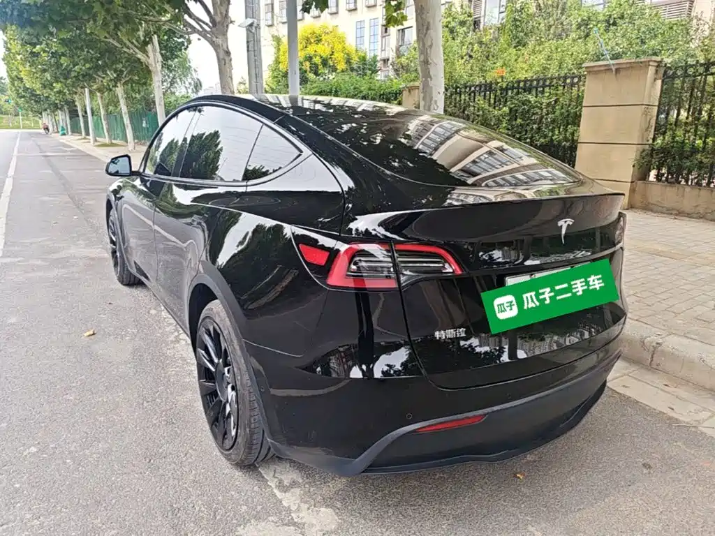 Tesla Model Y — миниатюра 5