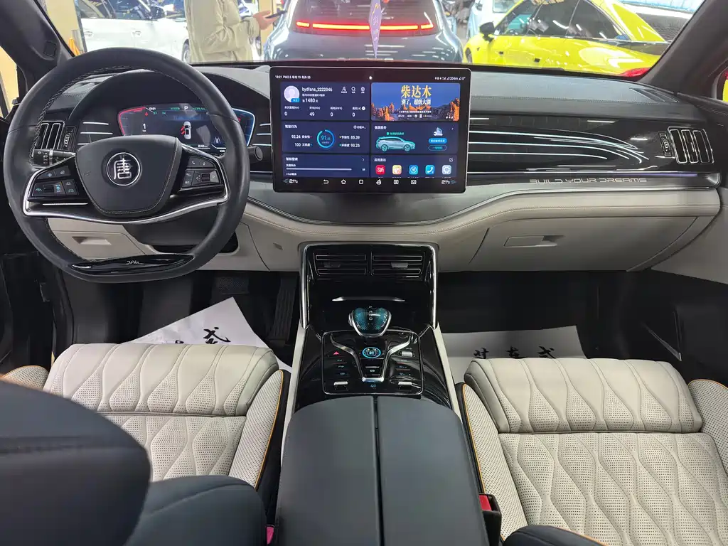 BYD Tang New Energy — миниатюра 12