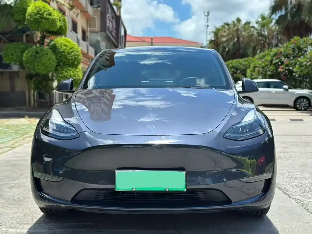 Tesla Model Y — миниатюра 2