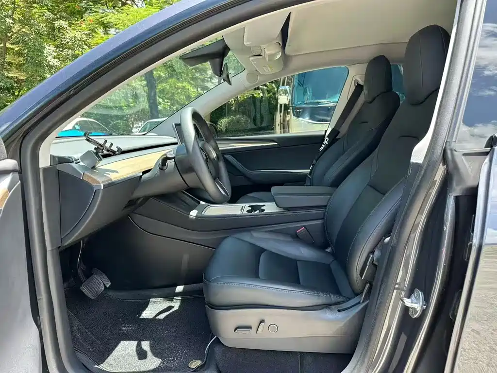 Tesla Model Y — миниатюра 4