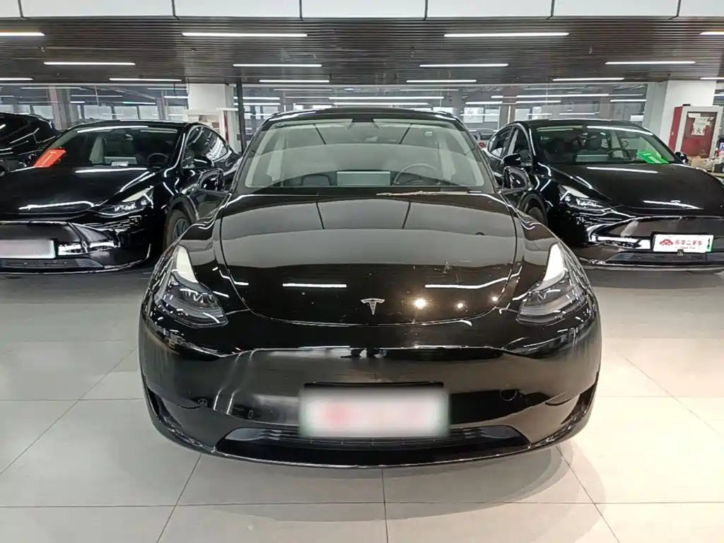 Tesla Model Y — миниатюра 3