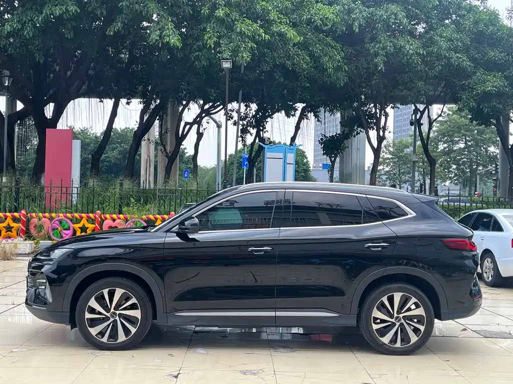 BYD PLUS New Energy — миниатюра 7