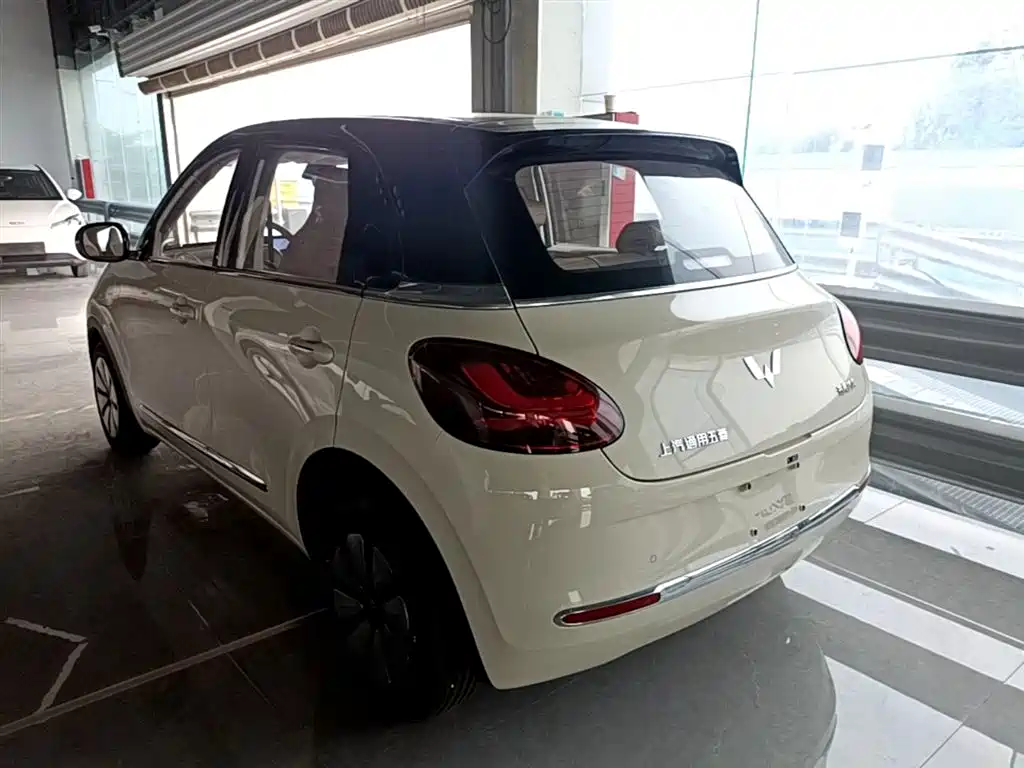 Wuling Binguo 2025 333km