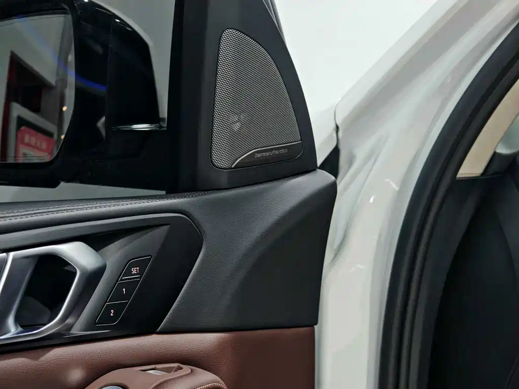 BMW X5 — миниатюра 12