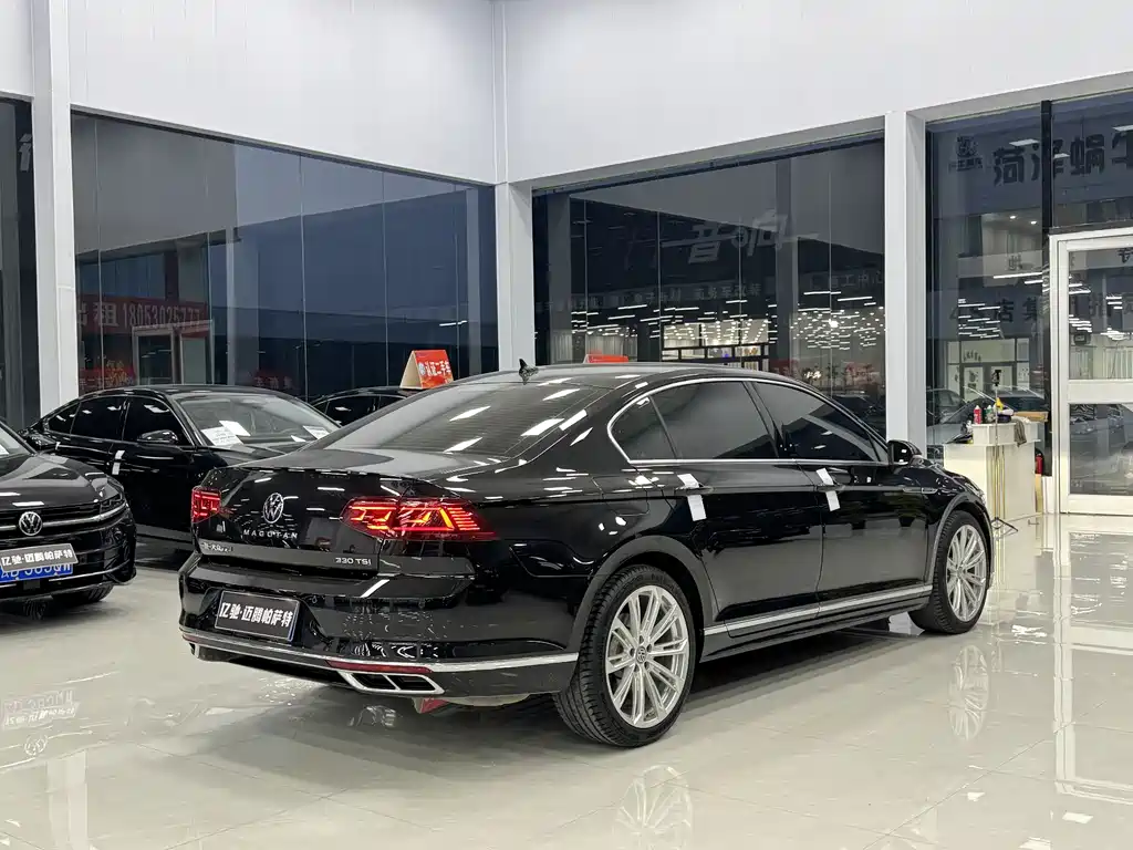 Volkswagen Magotan 2024 200 330TSI DSG Luxury