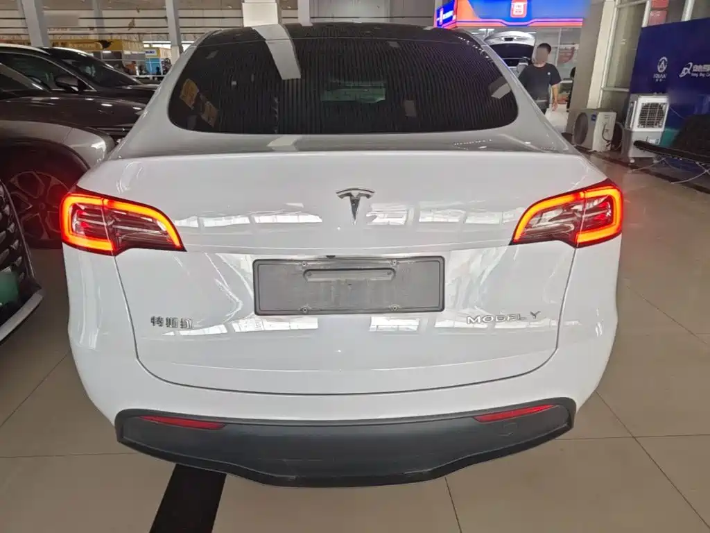 Tesla Model Y — миниатюра 6