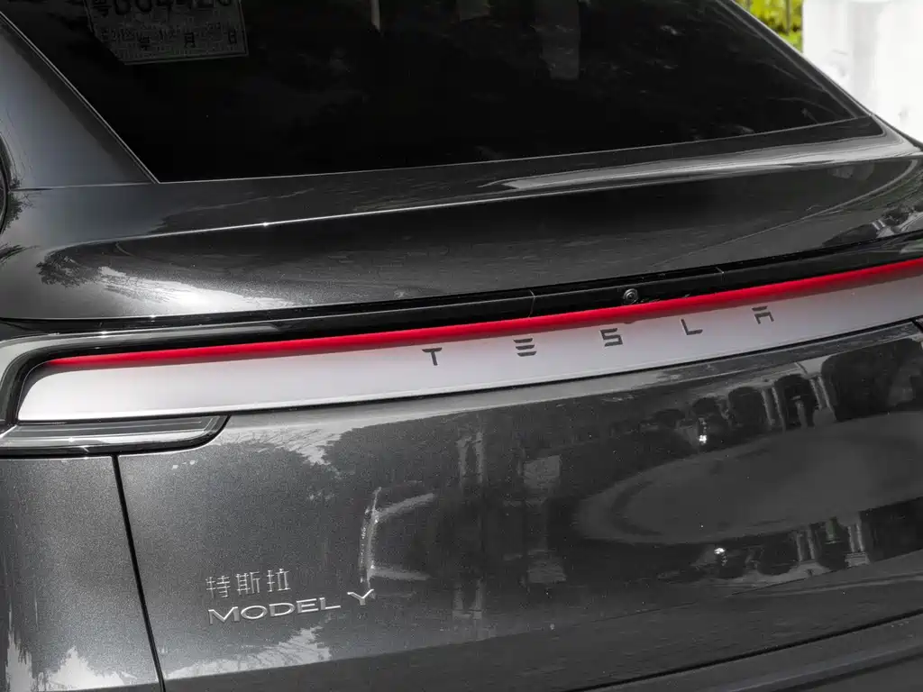 Tesla Model Y — миниатюра 9