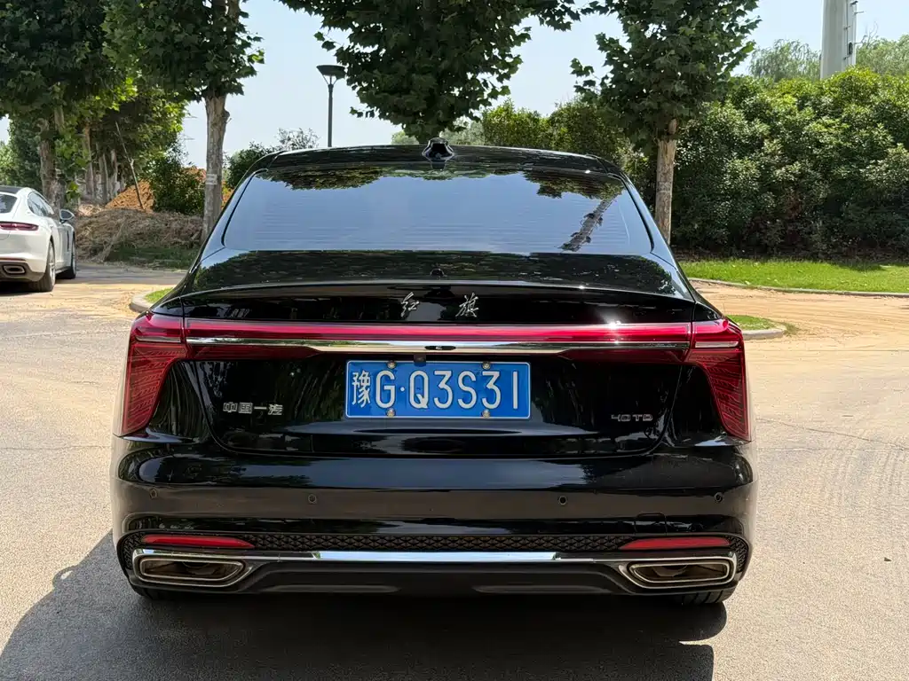 Hongqi H5 2024 2.0T AT