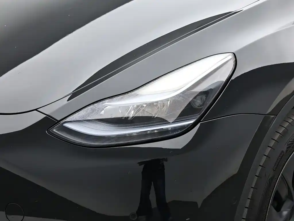 Tesla Model Y — миниатюра 18