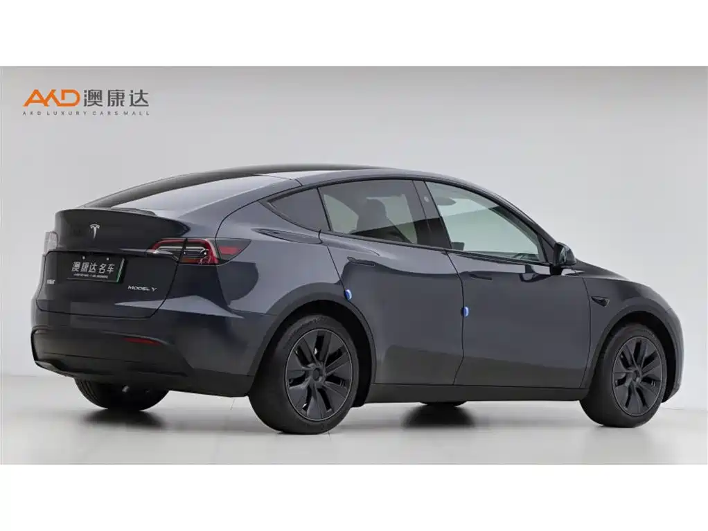 Tesla Model Y — миниатюра 3
