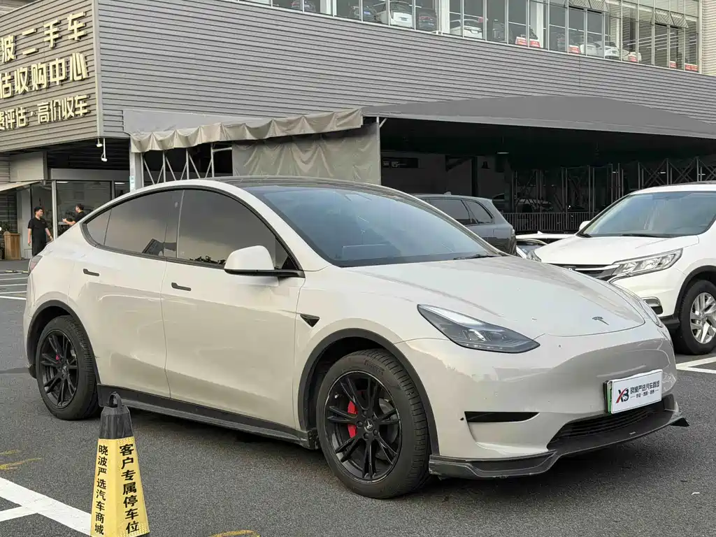Tesla Model Y — миниатюра 3