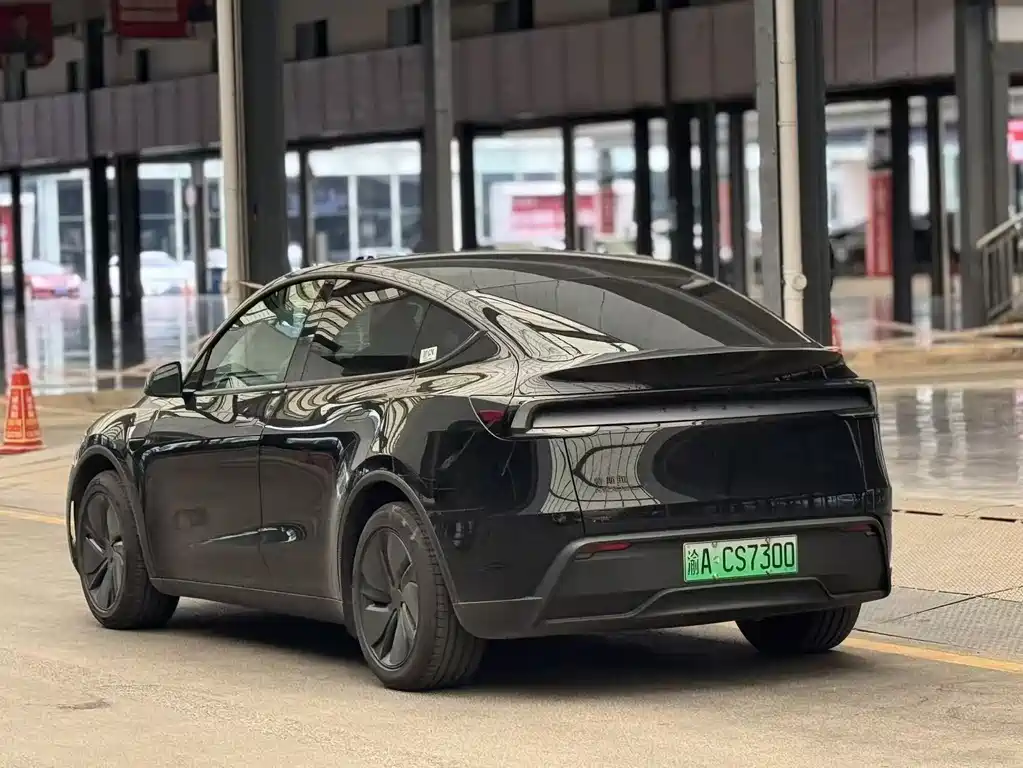 Tesla Model Y — миниатюра 10