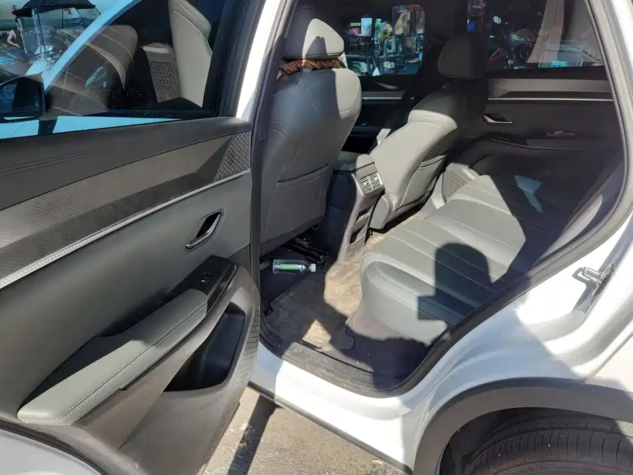 BYD Pro New Energy — миниатюра 11
