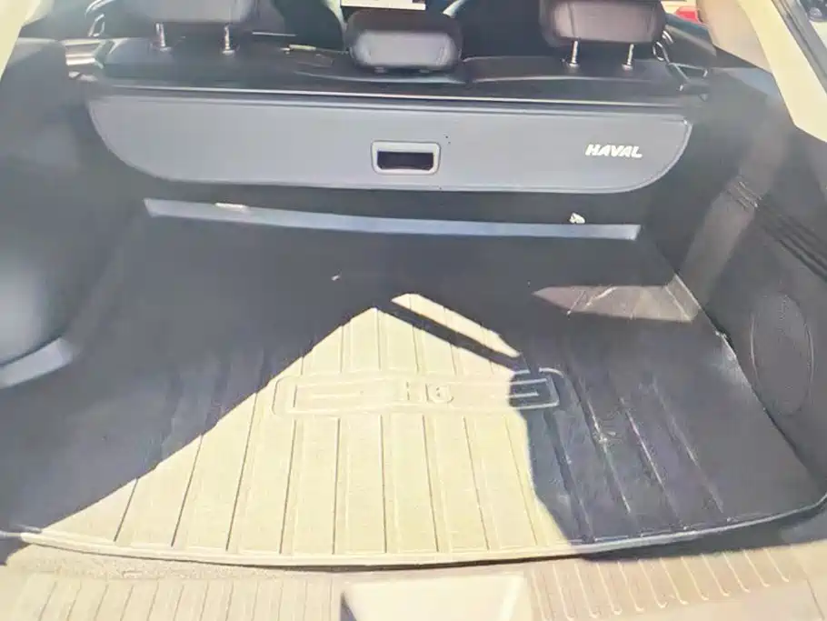 Haval Xiaolong MAX — миниатюра 4