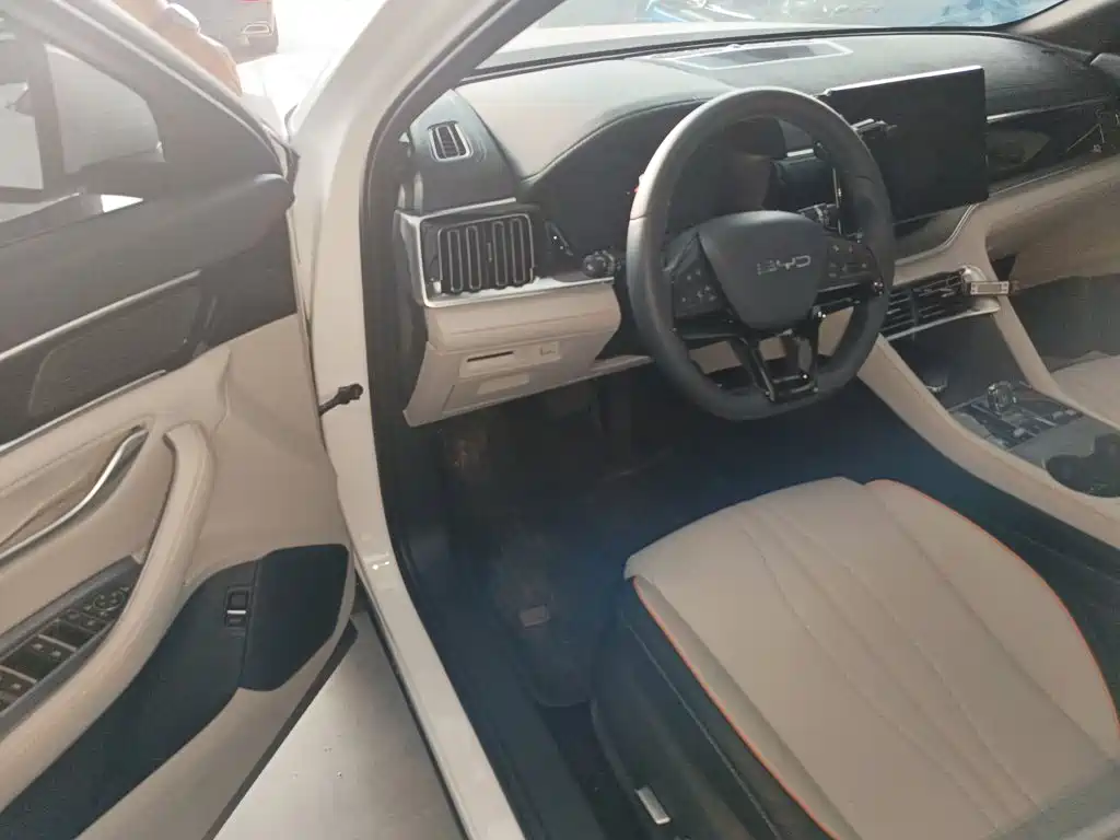 BYD PLUS New Energy — миниатюра 16