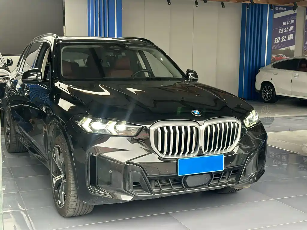BMW X5 — миниатюра 7