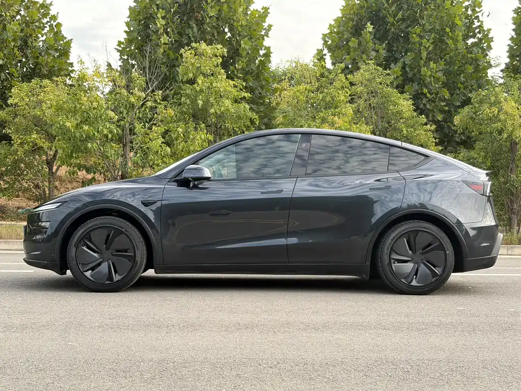 Tesla Model Y — миниатюра 4