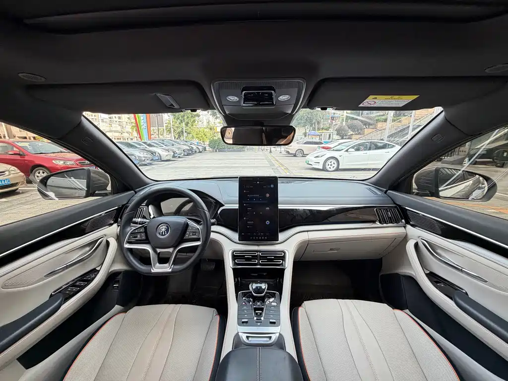 BYD PLUS New Energy — миниатюра 6