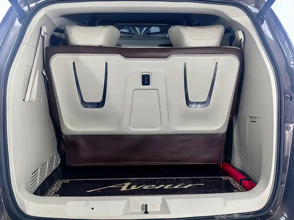 Buick GL8 — миниатюра 18
