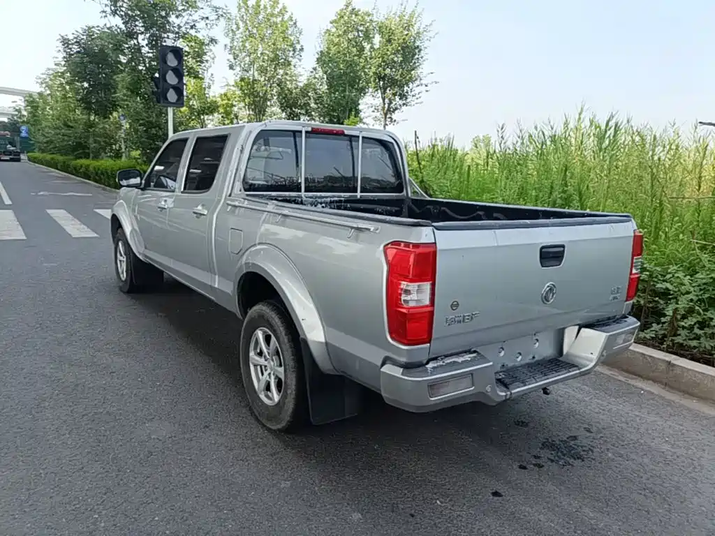 Dongfeng Rich — миниатюра 5