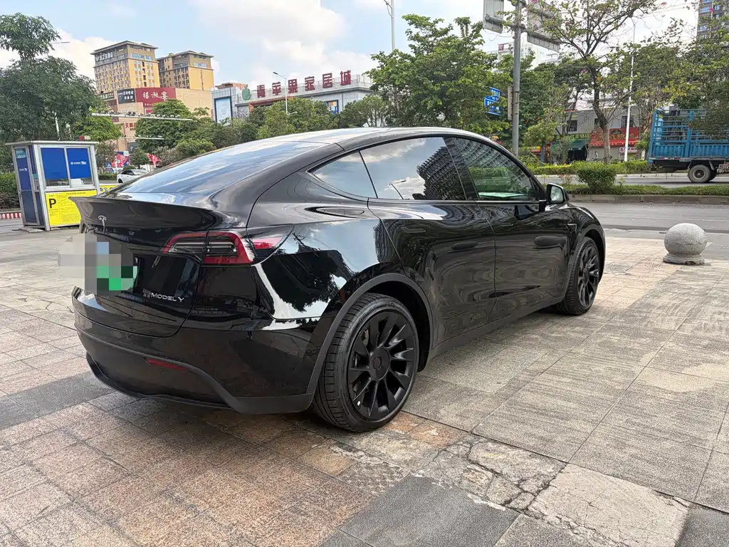 Tesla Model Y — миниатюра 7