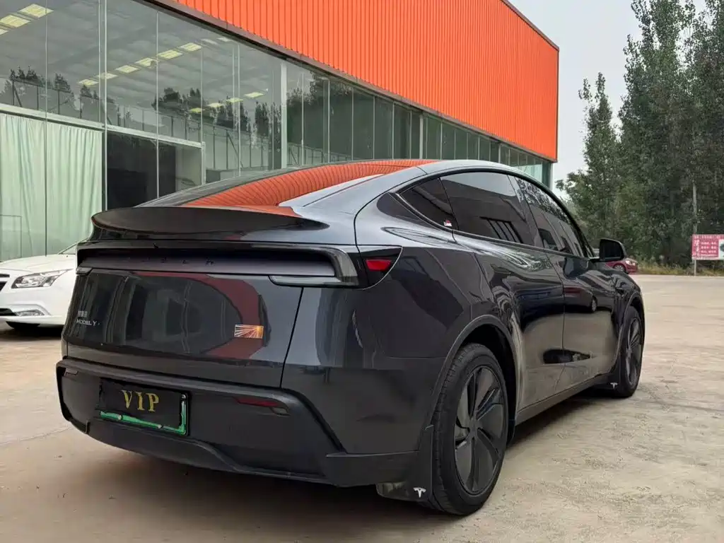 Tesla Model Y — миниатюра 4