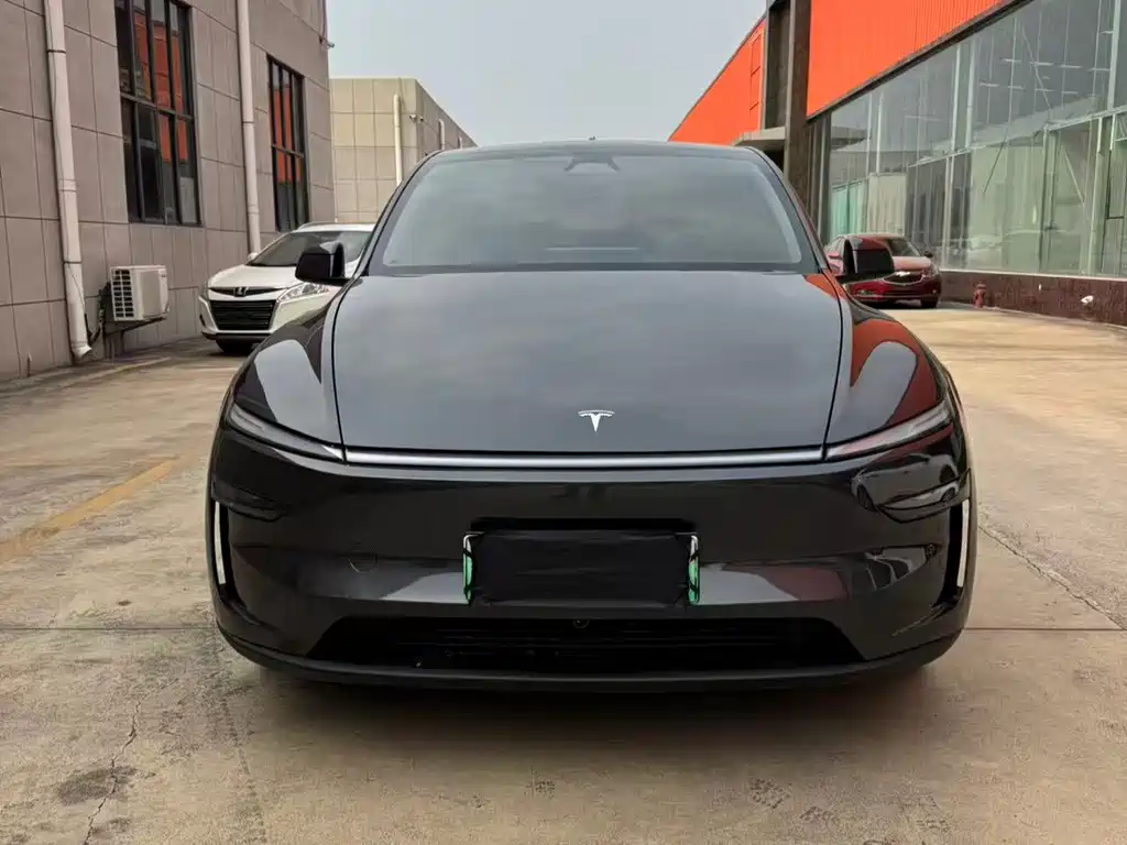 Tesla Model Y — миниатюра 2