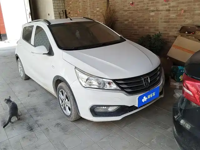 BAOJUN  310 2019