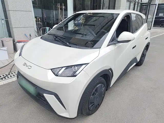 2025 BYD Seagull