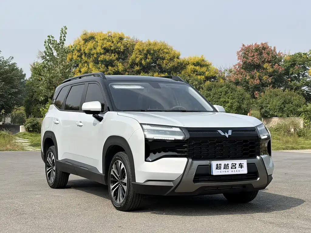 Wuling Xingguang 560 — миниатюра 3