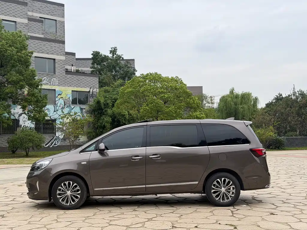 Buick GL8 — миниатюра 15