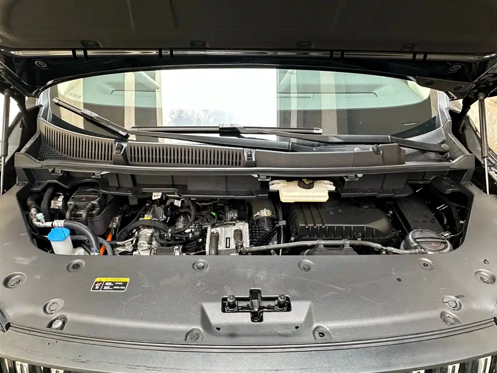 Hongqi HQ9 PHEV 2024 2.0T