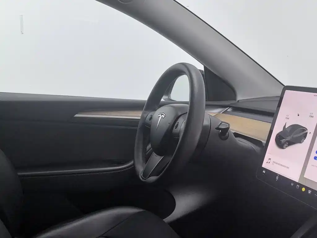 Tesla Model Y — миниатюра 22