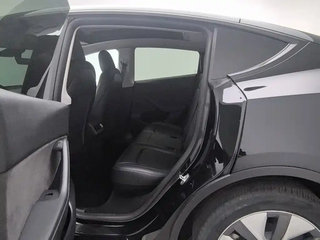 Tesla Model Y — миниатюра 15