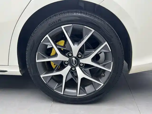 GAC Motor Shadow Leopard — миниатюра 19