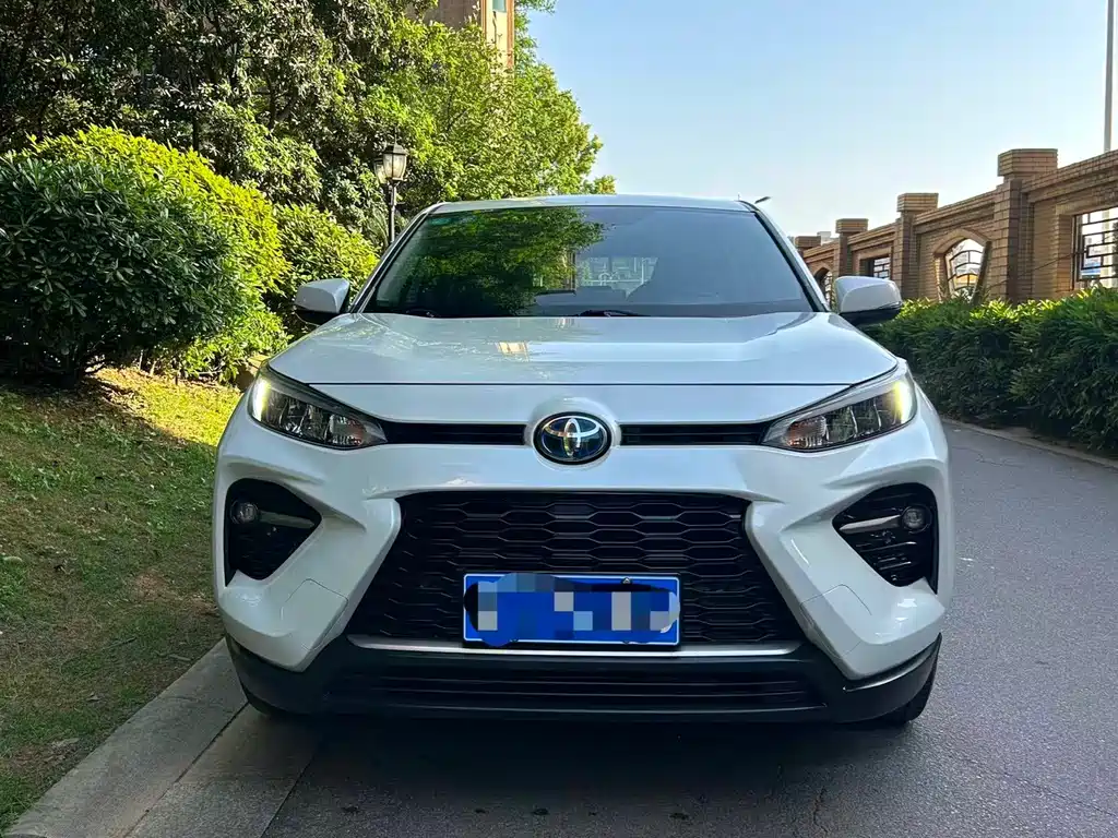Toyota Wildlander 2020